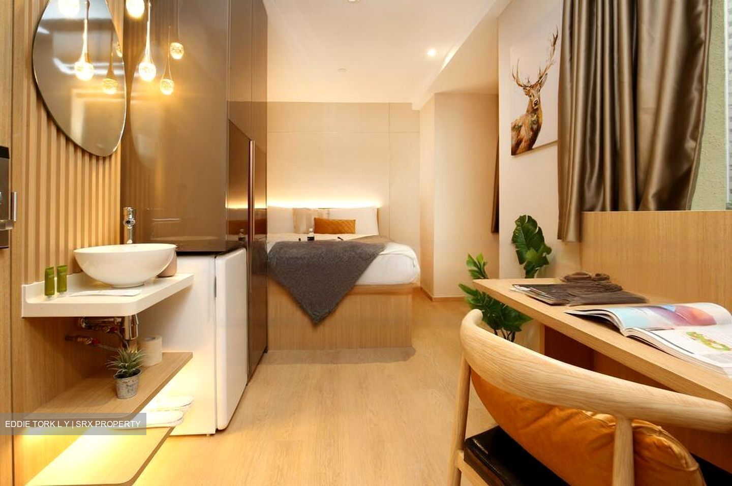 Mount Elizabeth Link (D9), Apartment #461432301